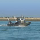 bateau pour beacher