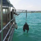 potence de levage bateau de plongee